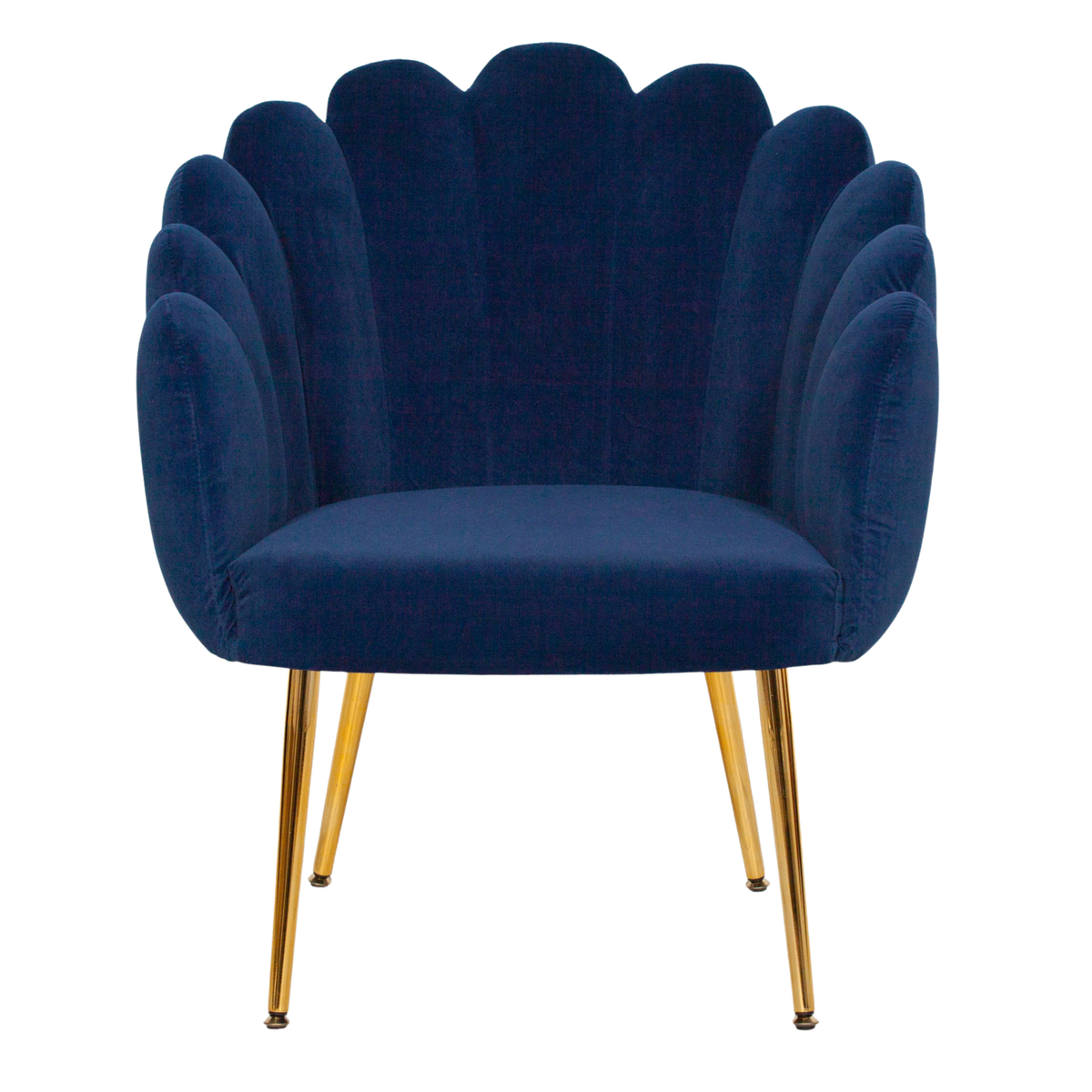 Celeste Scalloped Velvet Chair – Blue & Gold